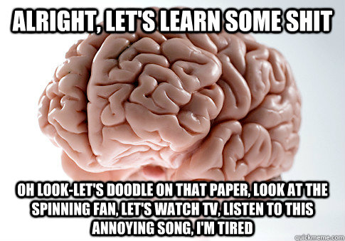 ALRIGHT, LET'S LEARN SOME SHIT OH LOOK-LET'S DOODLE ON THAT PAPER, LOOK AT THE SPINNING FAN, LET'S WATCH TV, LISTEN TO THIS ANNOYING SONG, I'M TIRED   Scumbag Brain