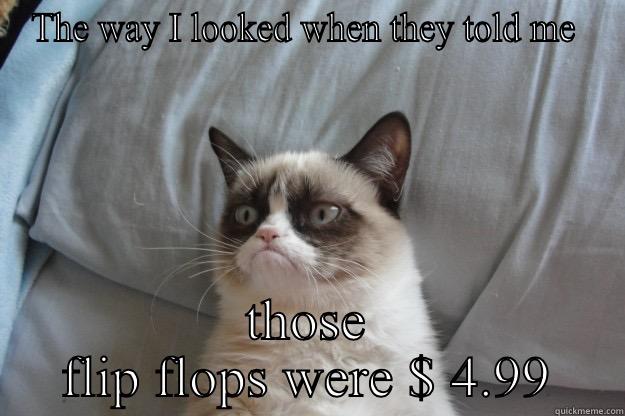 THE WAY I LOOKED WHEN THEY TOLD ME  THOSE FLIP FLOPS WERE $ 4.99 Grumpy Cat