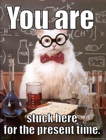 YOU ARE STUCK HERE FOR THE PRESENT TIME. Chemistry Cat