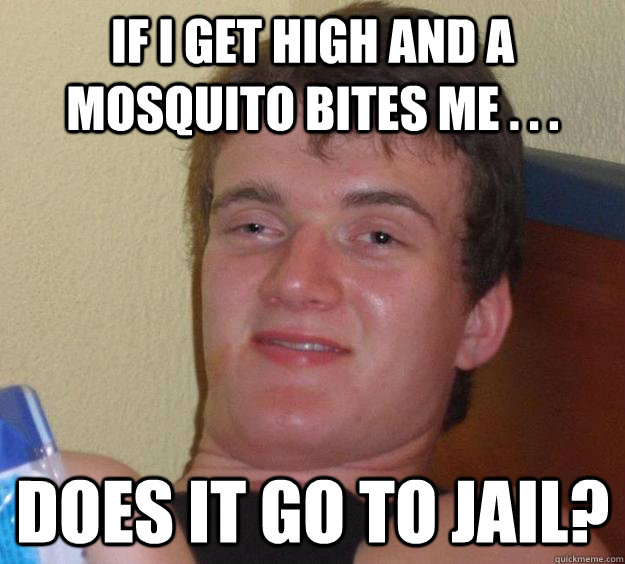 If i get high and a mosquito bites me . . .  does it go to jail?  10 Guy