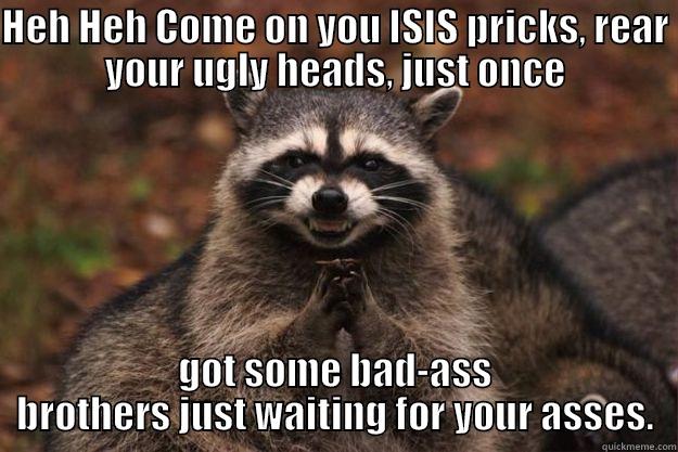 HEH HEH COME ON YOU ISIS PRICKS, REAR YOUR UGLY HEADS, JUST ONCE GOT SOME BAD-ASS BROTHERS JUST WAITING FOR YOUR ASSES. Evil Plotting Raccoon