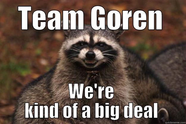 TEAM GOREN WE'RE KIND OF A BIG DEAL Evil Plotting Raccoon