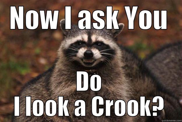 NOW I ASK YOU DO I LOOK A CROOK? Evil Plotting Raccoon