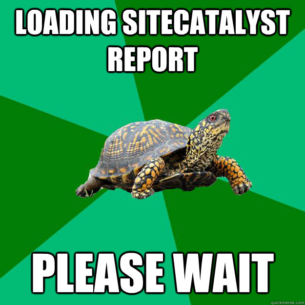 LOADING SITECATALYST REPORT Please wait  Torrenting Turtle