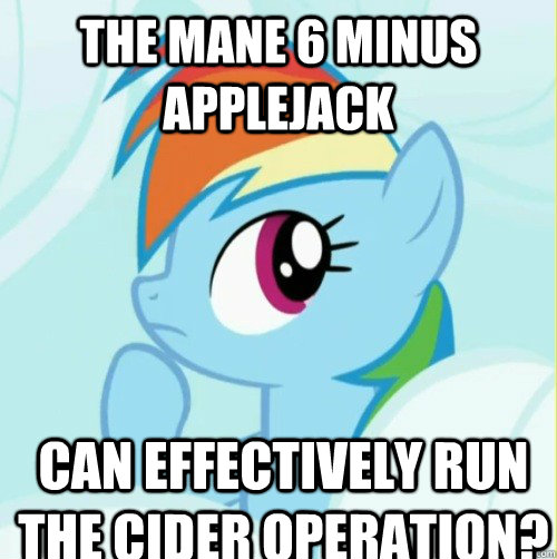 The mane 6 minus Applejack Can effectively run the cider operation?  Rainbow dash solution