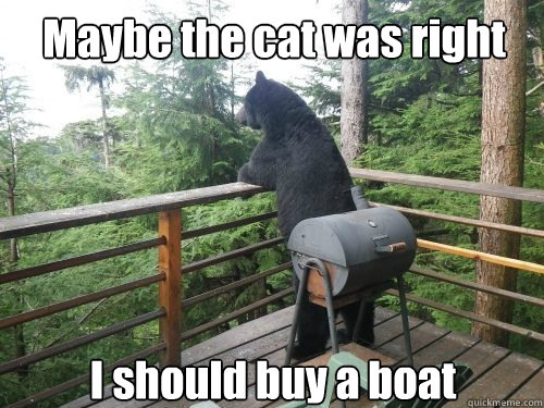 Maybe the cat was right I should buy a boat  