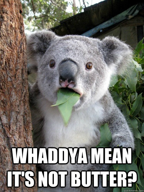  Whaddya mean it's not butter? -  Whaddya mean it's not butter?  koala bear