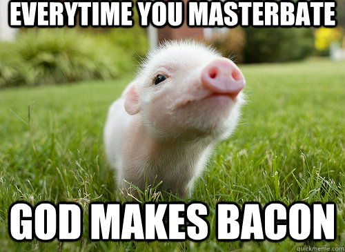 Everytime YOU MASTERBATE GOD MAKES BACON  baby pig