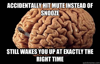 Accidentally hit mute instead of snooze Still wakes you up at exactly the right time - Accidentally hit mute instead of snooze Still wakes you up at exactly the right time  Good Guy Brain