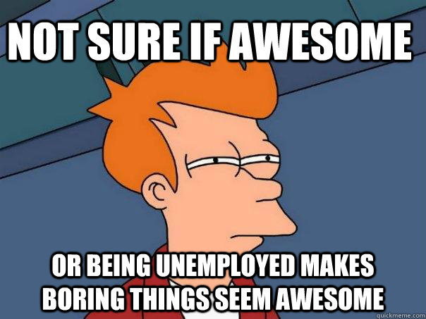 Not sure if awesome or being unemployed makes boring things seem awesome  Futurama Fry