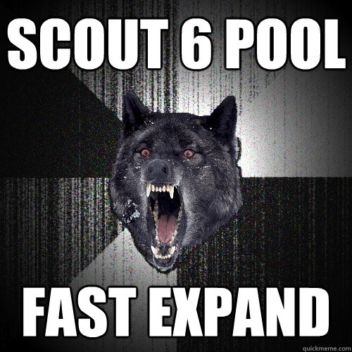 Scout 6 pool Fast expand  Insanity Wolf