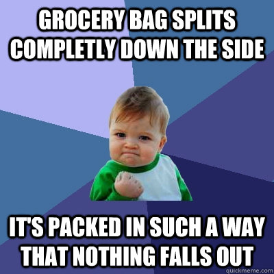 Grocery bag splits completly down the side  It's Packed in such a way that nothing falls out   Success Kid