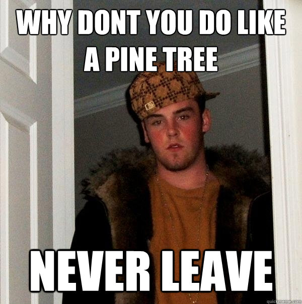 why dont you do like a pine tree never leave - why dont you do like a pine tree never leave  Scumbag Steve