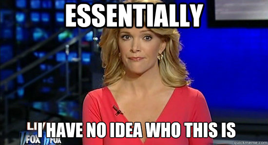 Essentially I have no idea who this is  essentially megyn kelly