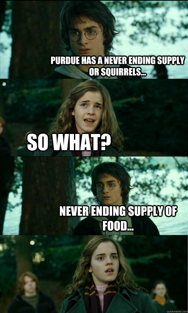 Purdue has a never ending supply or squirrels... so what? Never ending supply of food...  Horny Harry