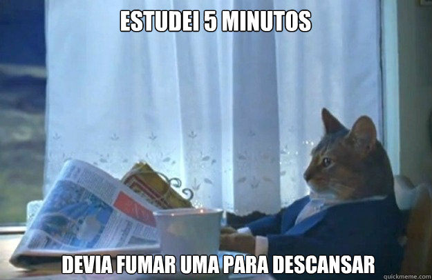 ESTUDEI 5 MINUTOS DEVIA FUMAR UMA PARA DESCANSAR  Sophisticated Cat