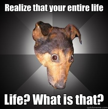 Realize that your entire life Life? What is that?  Depression Dog