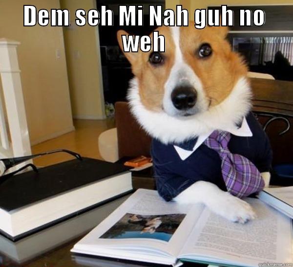 DEM SEH MI NAH GUH NO WEH  Lawyer Dog