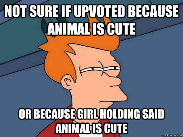 NOT SURE IF UPVOTED BECAUSE ANIMAL IS CUTE OR BECAUSE GIRL HOLDING SAID ANIMAL IS CUTE  Futurama Fry