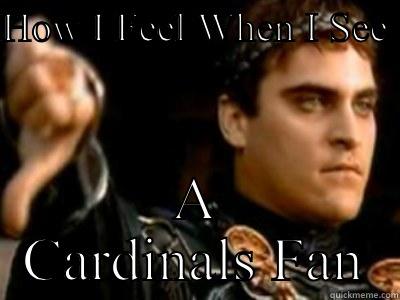 HOW I FEEL WHEN I SEE  A CARDINALS FAN Downvoting Roman