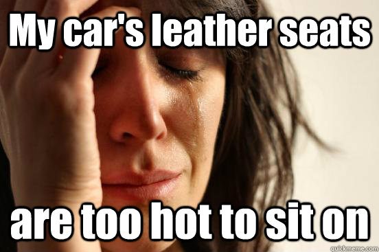 My car's leather seats are too hot to sit on - My car's leather seats are too hot to sit on  First World Problems