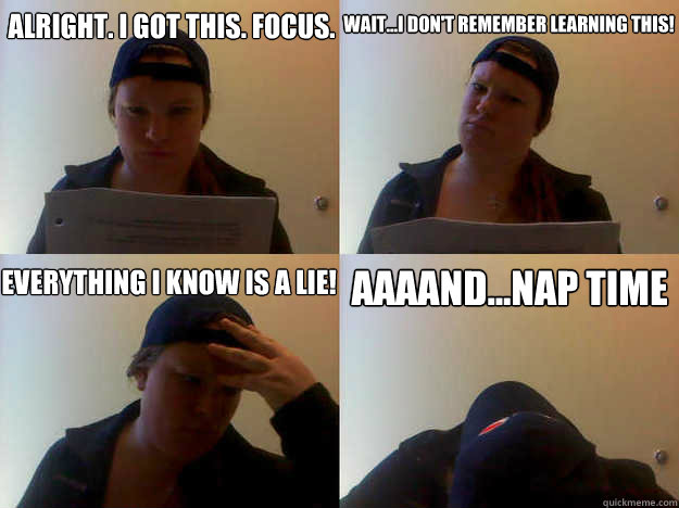 Alright. I got this. focus. Wait...I don't remember learning this! everything i know is a lie! aaaand...nap time  