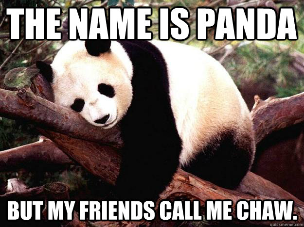 THE NAME IS PANDA BUT MY FRIENDS CALL ME CHAW.  Procrastination Panda