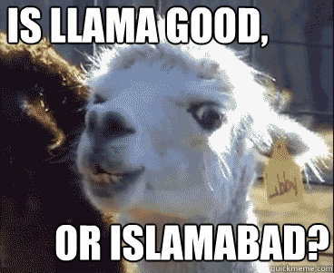 Is llama good, or Islamabad?  Disapproving Llama