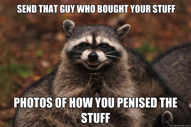 send that guy who bought your stuff on ebay photos of how you penised the stuff  Evil Plotting Raccoon