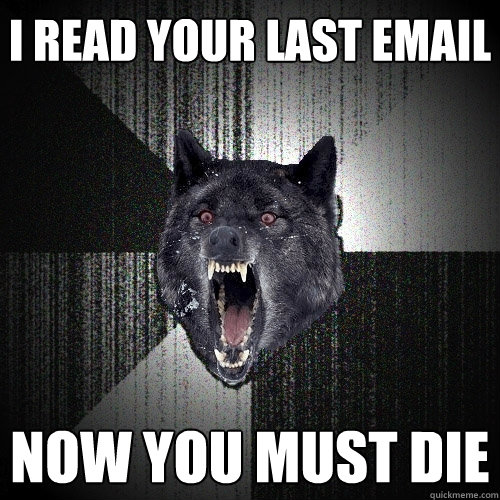 I READ YOUR LAST EMAIL NOW YOU MUST DIE  Insanity Wolf