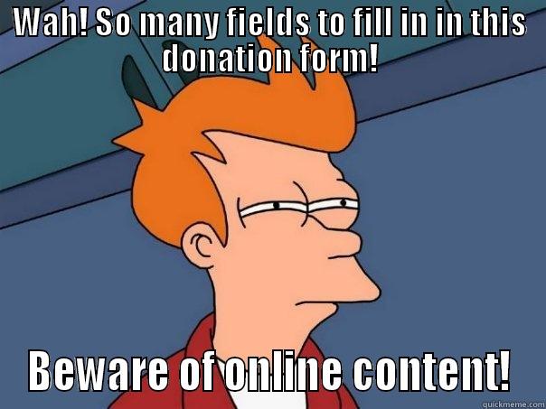 WAH! SO MANY FIELDS TO FILL IN IN THIS DONATION FORM! BEWARE OF ONLINE CONTENT! Futurama Fry