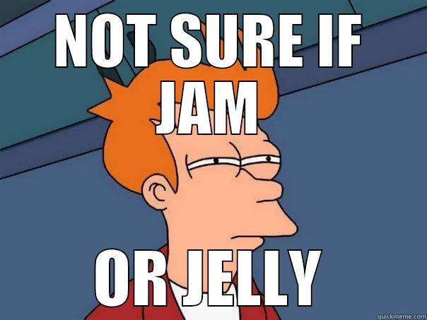 NOT SURE IF JAM OR JELLY Futurama Fry