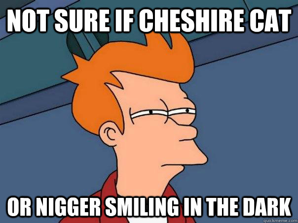 Not sure if cheshire cat Or nigger smiling in the dark   Futurama Fry