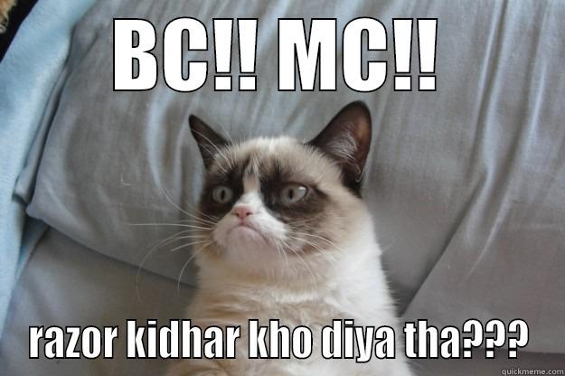 BC!! MC!! RAZOR KIDHAR KHO DIYA THA??? Grumpy Cat