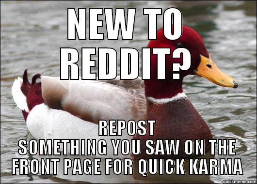 NEW TO REDDIT? REPOST SOMETHING YOU SAW ON THE FRONT PAGE FOR QUICK KARMA Malicious Advice Mallard