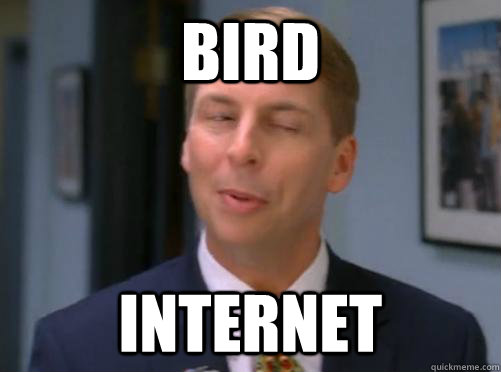 BIRD INTERNET - BIRD INTERNET  Kenneth