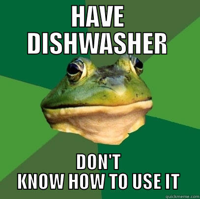 HAVE DISHWASHER DON'T KNOW HOW TO USE IT Foul Bachelor Frog