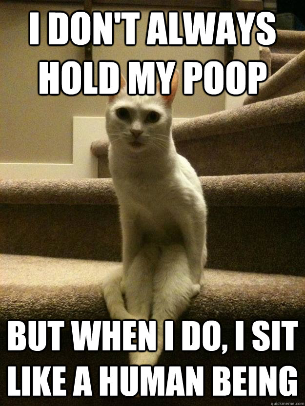 i don't always hold my poop but when i do, i sit like a human being  The Most Interesting Cat in the World