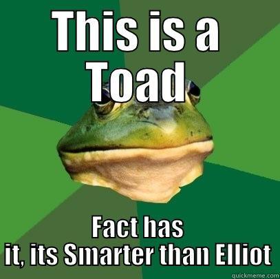 THIS IS A TOAD FACT HAS IT, ITS SMARTER THAN ELLIOT Foul Bachelor Frog