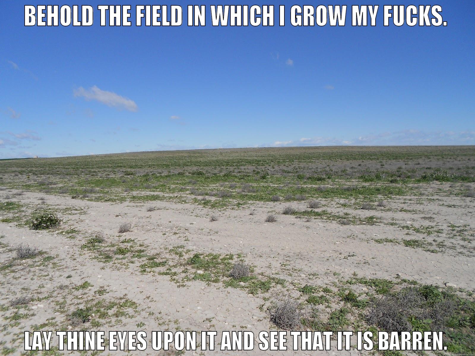 behold my field. - BEHOLD THE FIELD IN WHICH I GROW MY FUCKS. LAY THINE EYES UPON IT AND SEE THAT IT IS BARREN. Misc