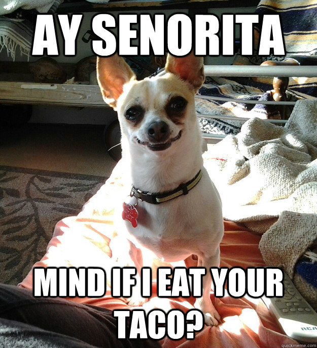 ay senorita mind if i eat your taco? - ay senorita mind if i eat your taco?  Misc