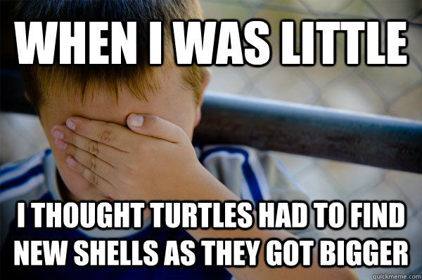 WHEN I WAS LITTLE I THOUGHT TURTLES HAD TO FIND NEW SHELLS AS THEY GOT BIGGER  Confession kid