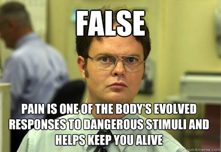 false pain is one of the body's evolved responses to dangerous stimuli and helps keep you alive  Dwight