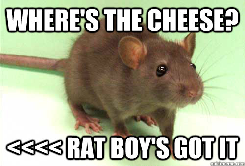 Where's The Cheese? <<<< Rat Boy's Got it - Where's The Cheese? <<<< Rat Boy's Got it  Steve Marion