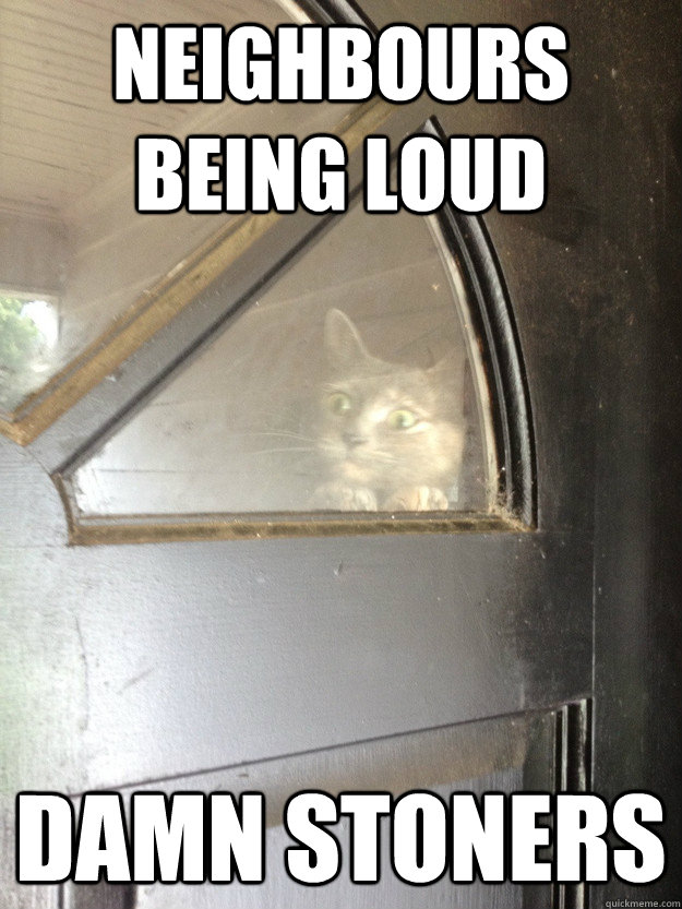 Neighbours being loud damn stoners - Neighbours being loud damn stoners  Judgmental Neighborhood Cat