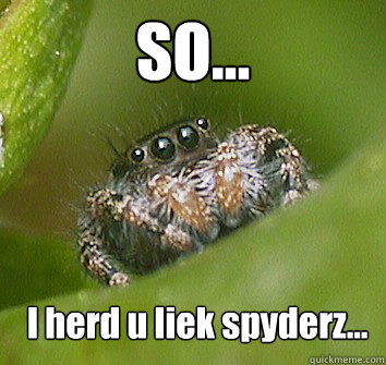 SO...
 I herd u liek spyderz...  Misunderstood Spider