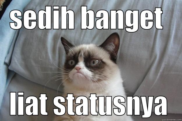 SEDIH BANGET  LIAT STATUSNYA Grumpy Cat