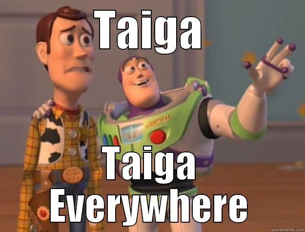 TAIGA TAIGA EVERYWHERE Toy Story