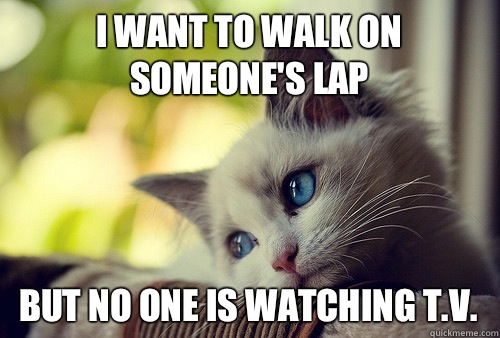 I want to walk on someone's lap but no one is watching T.V.  First World Problems Cat