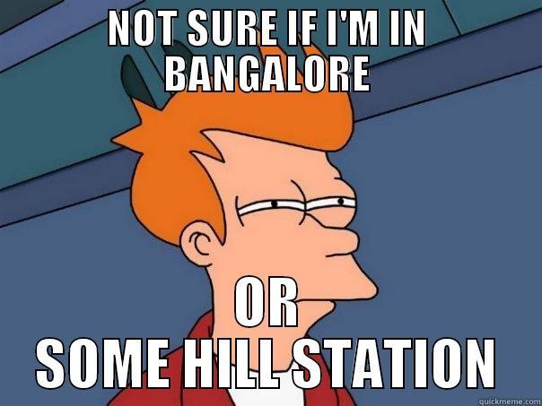 NOT SURE IF I'M IN BANGALORE OR SOME HILL STATION Futurama Fry